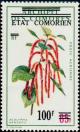 Colnect-547-800-Acalypha-sanderii.jpg