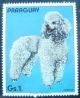 Colnect-5774-290-Poodle-Canis-lupus-familiaris.jpg