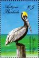 Colnect-6041-037-Brown-Pelican-Pelecanus-occidentalis.jpg