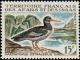 Colnect-792-277-Eurasian-Oystercatcher-Haematopus-ostralegus.jpg