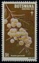 Colnect-948-621-Acacia-Gerrardii.jpg