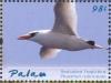 Colnect-3669-250-Red-tailed-Tropicbird%C2%A0%C2%A0%C2%A0%C2%A0Phaethon-rubricauda.jpg