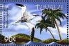 Colnect-4008-274-Red-billed-Tropicbird%C2%A0%C2%A0%C2%A0%C2%A0Phaethon-aethereus.jpg