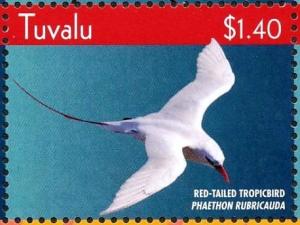 Colnect-4021-377-Red-tailed-Tropicbird%C2%A0%C2%A0%C2%A0%C2%A0Phaethon-rubricauda.jpg