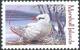 Colnect-3671-465-Red-tailed-Tropicbird%C2%A0%C2%A0%C2%A0%C2%A0Phaethon-rubricauda.jpg