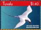 Colnect-4021-377-Red-tailed-Tropicbird%C2%A0%C2%A0%C2%A0%C2%A0Phaethon-rubricauda.jpg