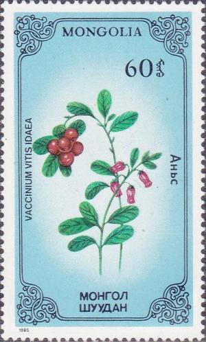 Colnect-1253-146-Vaccinium-vitisidaea.jpg