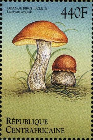 Colnect-2999-203-Leccinum-versipelle.jpg