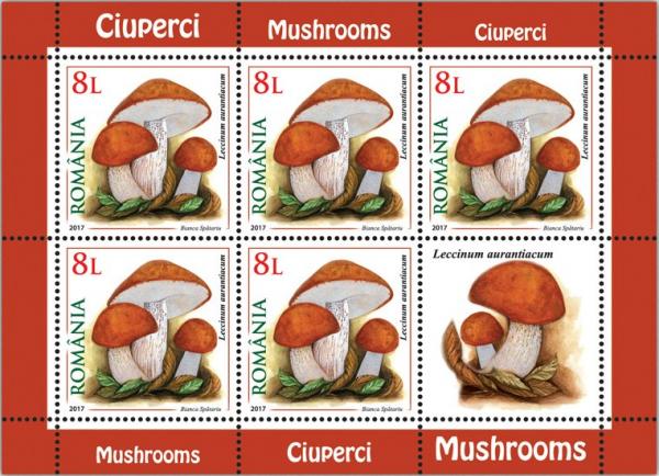 Colnect-4430-400-Leccinum-aurantiacum.jpg