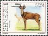 Colnect-2133-363-Western-Hartebeest-Alcelaphus-buselaphus-major-of-Niokolo-.jpg