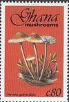 Colnect-2389-599-Mycena-Galericulata.jpg