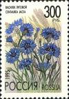 Colnect-2819-880-Centaurea-jacea.jpg