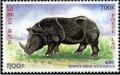 Colnect-2490-242-Javan-Rhinoceros-Rhinoceros-sondaicus.jpg