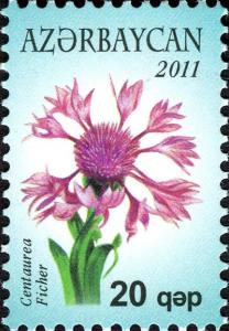 Colnect-4416-390-Centaurea-Ficher.jpg