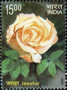 Colnect-542-604-Fragrance-of-Roses---Jawahar.jpg