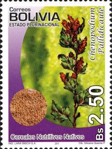 Colnect-3942-902-Nutritional-Native-Cereals---Chenopodium-pallidicaule.jpg