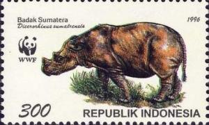 Colnect-1141-856-Sumatran-Rhinoceros-Dicerorhinus-sumatrensis.jpg