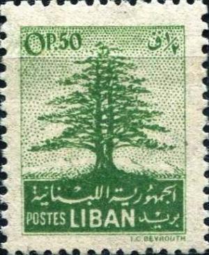 Colnect-1343-424-Cedar-of-Lebanon.jpg