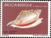 Colnect-1116-446-Diana-Conch-Euprotomus-aurisdianae.jpg