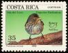 Colnect-1503-796-Cocos-finch-Pinaroloxias-inornata.jpg