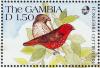 Colnect-2613-383-Red-billed-Firefinch-Lagonosticta-senegala-senegala.jpg