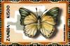 Colnect-3505-147-Charaxes-eupale.jpg