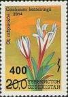 Colnect-3565-530-Colchicum-kesselringii.jpg