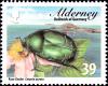 Colnect-5486-741-Rose-Chafer-Cetonia-aurata.jpg