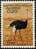 Colnect-1548-201-Ostrich-Struthio-camelus-.jpg