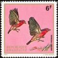 Colnect-1780-786-Red-billed-Firefinch-Lagonosticta-senegala-senegala.jpg