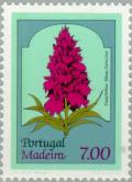 Colnect-185-803-Madeiran-orchid-Dactylorhiza-foliosa.jpg