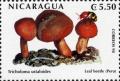 Colnect-3188-489-Tricholoma-ustaloides.jpg