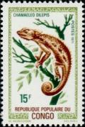 Colnect-4078-760-Flap-necked-Chameleon-Chamaeleo-dilepis.jpg