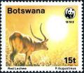 Colnect-4136-070-Red-Lechwe-Kobus-leche-leche.jpg