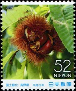 Colnect-5614-530-Japanese-Chestnut-Castanea-crenata.jpg