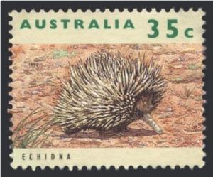 Colnect-1496-858-Short-beaked-Echidna-Tachyglossus-aculeatus.jpg