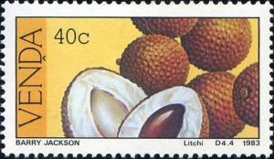 Colnect-1519-704-Litchi-Litchi-sinensis.jpg