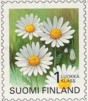 Colnect-160-300-Oxeye-Daisy-Chrysanthemum-leucanthemum.jpg