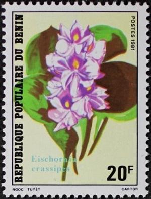 Colnect-2346-062-Eichhornia-crassipes.jpg