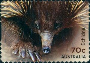 Colnect-2778-808-Short-beaked-Echidna-Tachyglossus-aculeatus.jpg