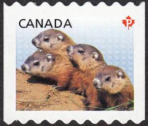 Colnect-2800-228-Woodchuck-Marmota-monax.jpg