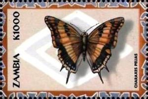 Colnect-3505-127-Charaxes-pelias.jpg