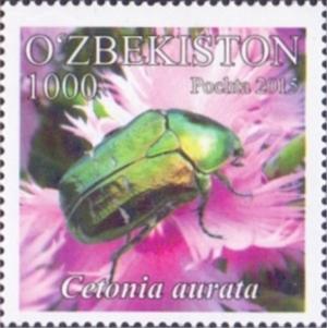 Colnect-3564-839-Rose-Chafer-Cetonia-aurata.jpg