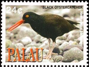 Colnect-3669-231-Black-Oystercatcher%C2%A0%C2%A0%C2%A0%C2%A0Haematopus-bachmani.jpg