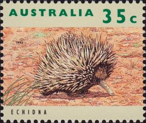 Colnect-3952-685-Short-beaked-Echidna-Tachyglossus-aculeatus.jpg