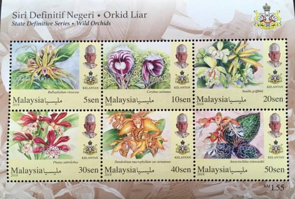 Colnect-5654-956-Orchids-of-Malaysia.jpg