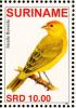 Colnect-3837-110-Saffron-Finch%C2%A0%C2%A0%C2%A0%C2%A0Sicalis-flaveola.jpg