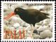 Colnect-3669-231-Black-Oystercatcher%C2%A0%C2%A0%C2%A0%C2%A0Haematopus-bachmani.jpg