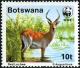 Colnect-4136-069-Red-Lechwe-Kobus-leche-leche.jpg