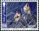 Colnect-4440-037-Goldfinch-Carduella-carduella.jpg